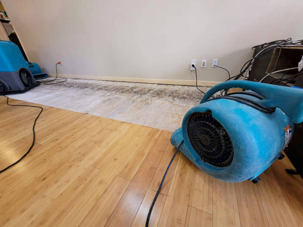 Professional Water Damage Repair technician working in Clintonville, PA